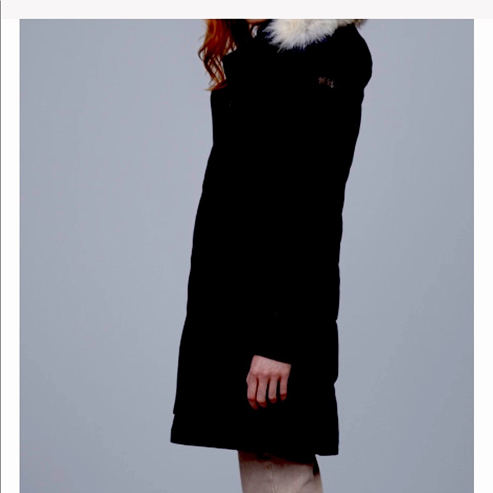 I am looking to purchase a Canada Goose